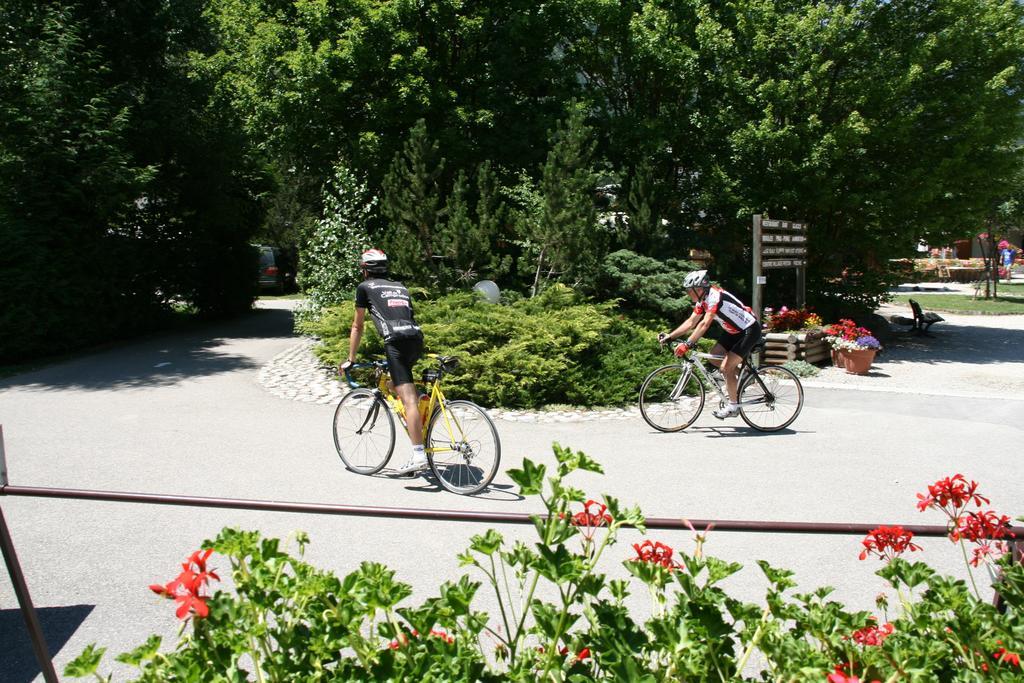 Camping Le Colporteur Hotel Le Bourg-d'Oisans Bagian luar foto